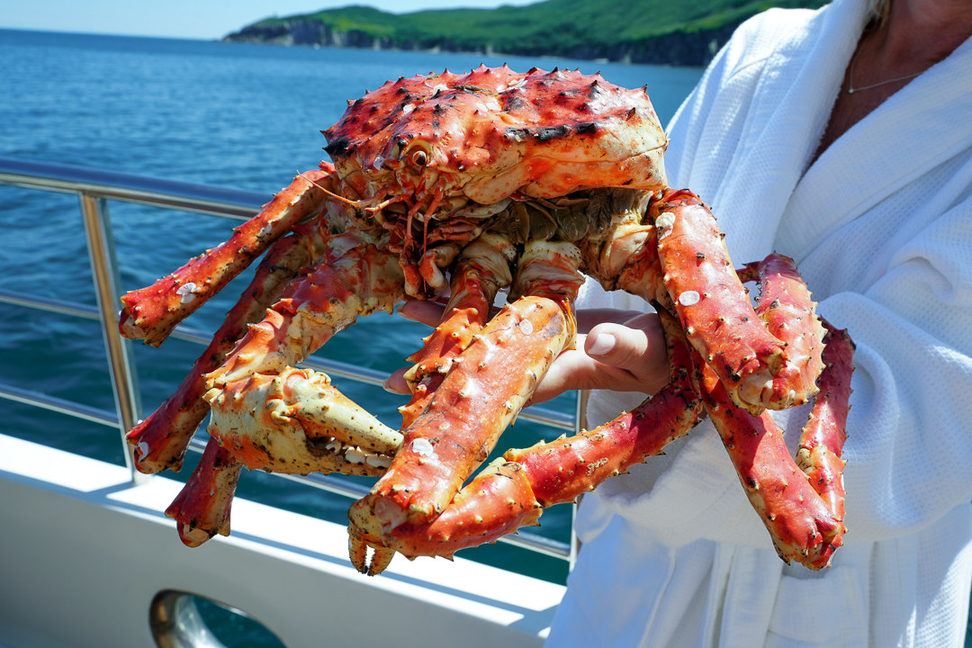 Гастрономическое сопровождение